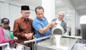 Tingkatkan Kualitas Produksi Susu, Peternak Mencari Solusi Kelebihan Susu